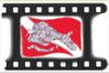 Concorso internazionale di fotografia subacquea ABISSI - Citta di Venezia
